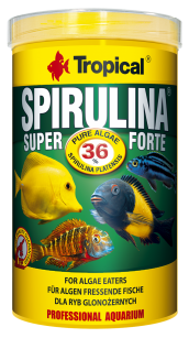 TROPICAL SPIRULINA FORTE 36% 250 ML