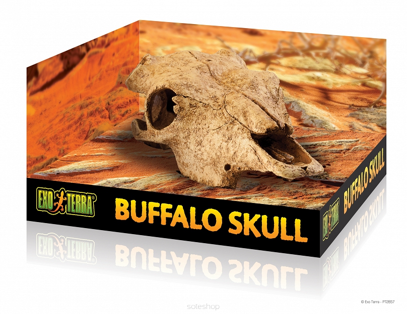 EXO TERRA DEKORACJA BUFFALO SKULL