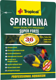 TROPICAL SPIRULINA FORTE 36 % 12 g,