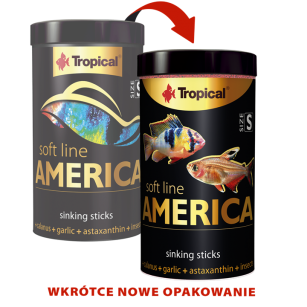 TROPICAL SOFT AMERICA S 100ML