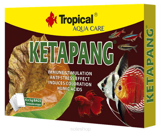 TROPICAL KETAPANG