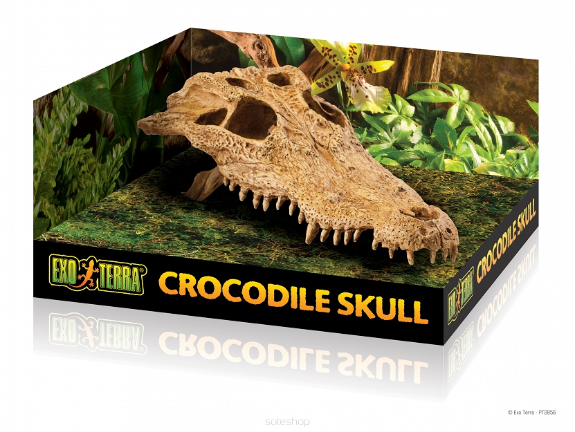 EXO TERRA DEKORACJA CROCODILE SKULL