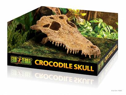 EXO TERRA DEKORACJA CROCODILE SKULL