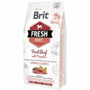 BRIT FRESH BEEF WITH PUMPKIN PUPPY LARGE 2,5 KG