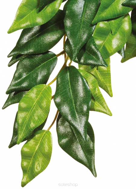 EXO TERRA ROŚLINA FICUS MEDIUM 3040